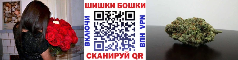 где продают наркотики  Соль-Илецк  Каннабис индика 